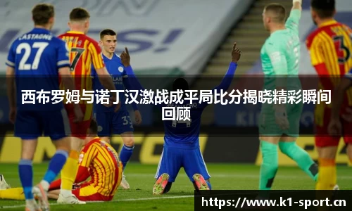 西布罗姆与诺丁汉激战成平局比分揭晓精彩瞬间回顾